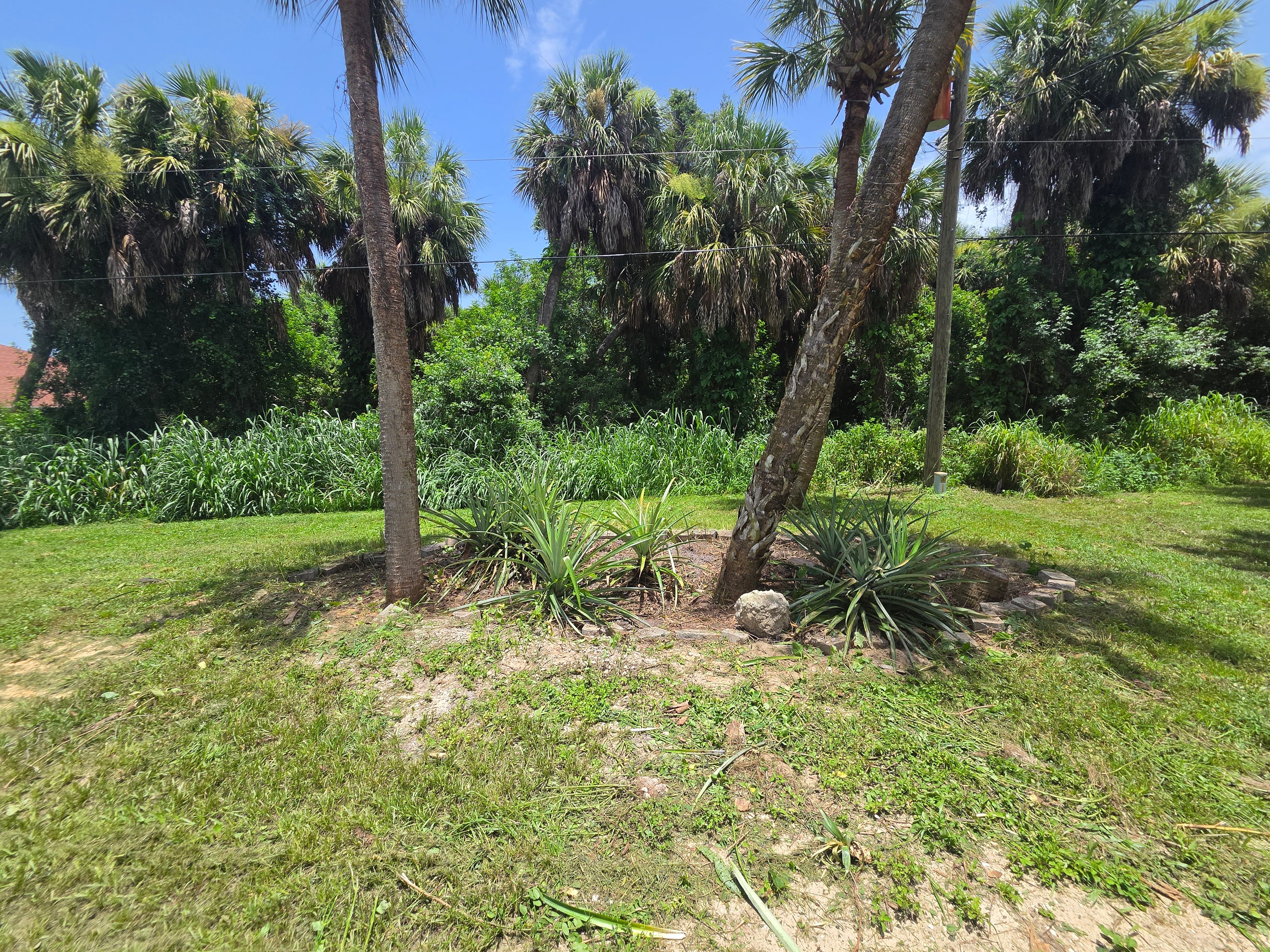Lot cleared and mowed after cleanup