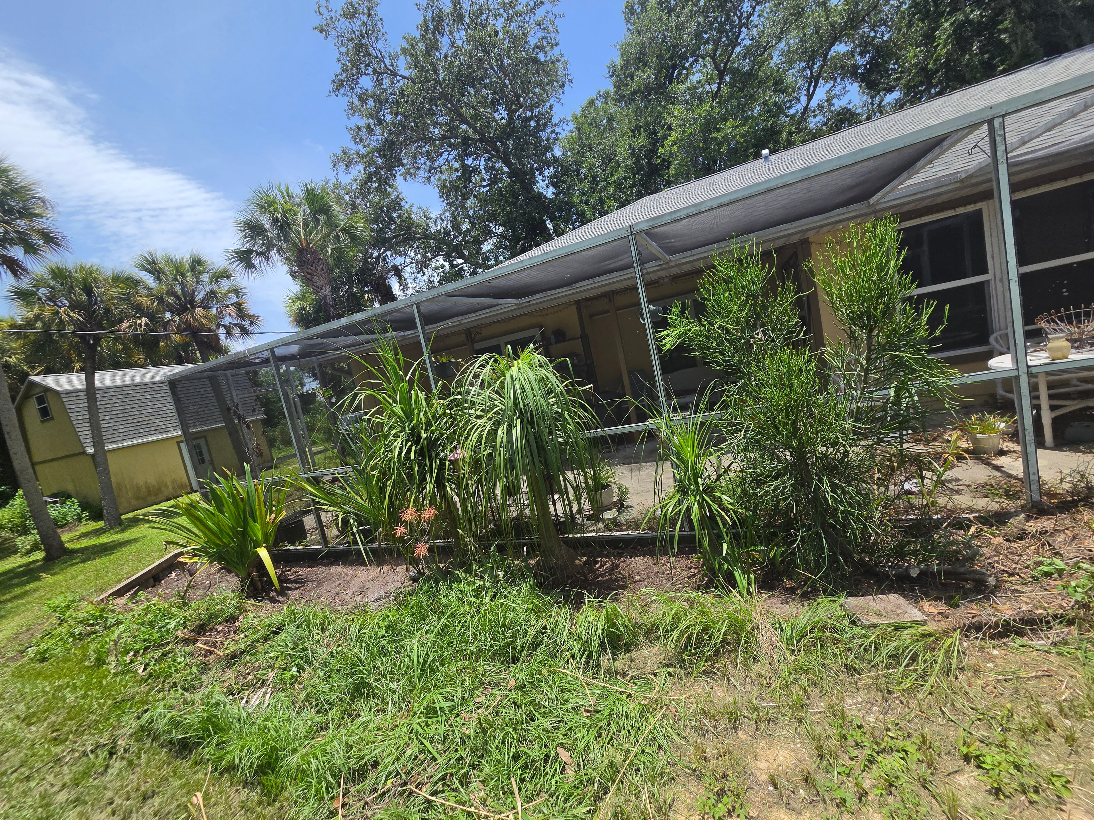 House exterior cleaned up with trimmed shrubs and cleared lawn